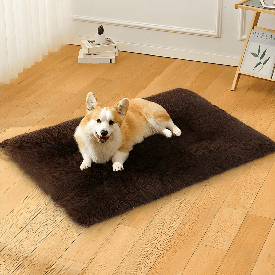 Fluffy faux fur pet bed for medium dogs and cats, 100x70cm, brown color, non-slip, washable – available in Beirut Lebanon
