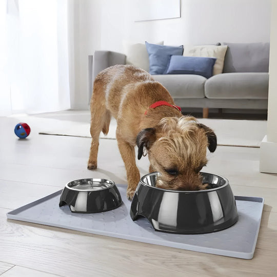Stainless steel 700ml dog bowl with anti-slip rubber base, available in Beirut Lebanon