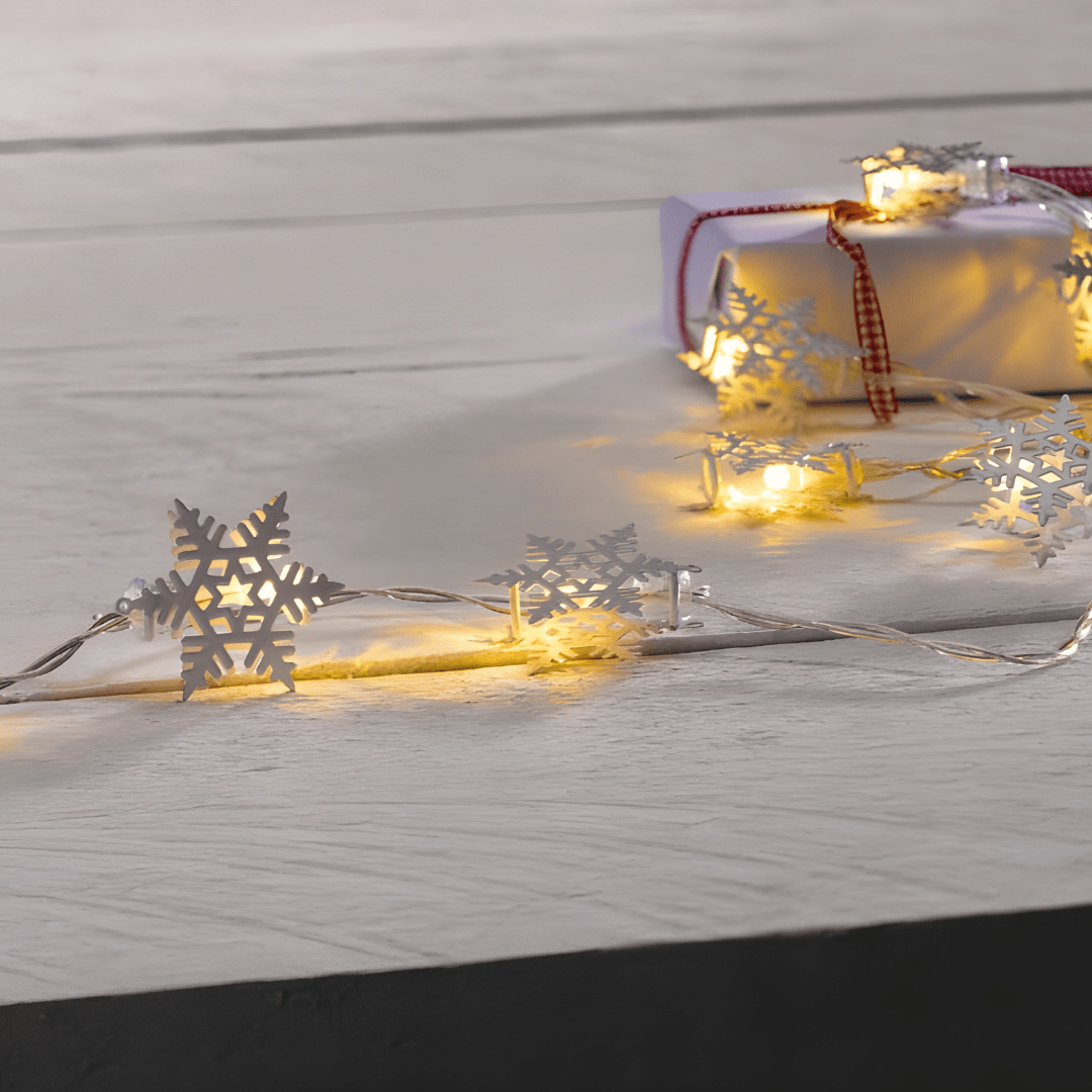 Livarno Home 20 LED String Lights