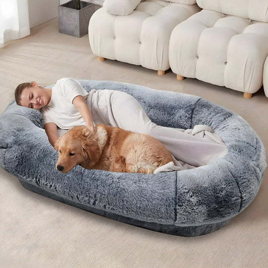Premium Orthopedic Dog & Human Bed – European Household - Lebanon