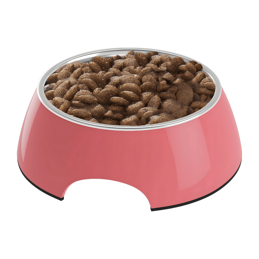 Zoofari Food Or Water Bowl 700ML Set Of 1