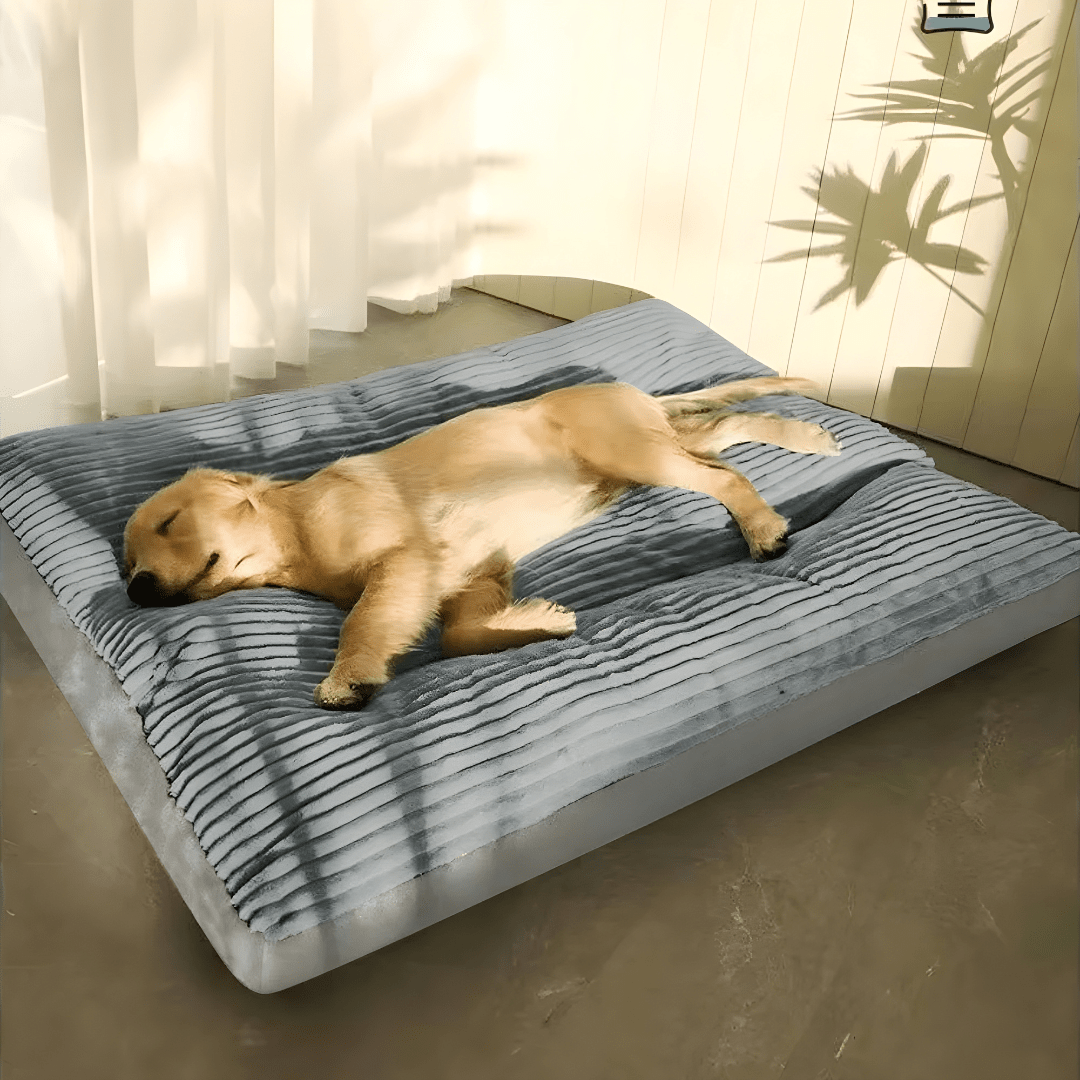 Luxury Dog Blanket