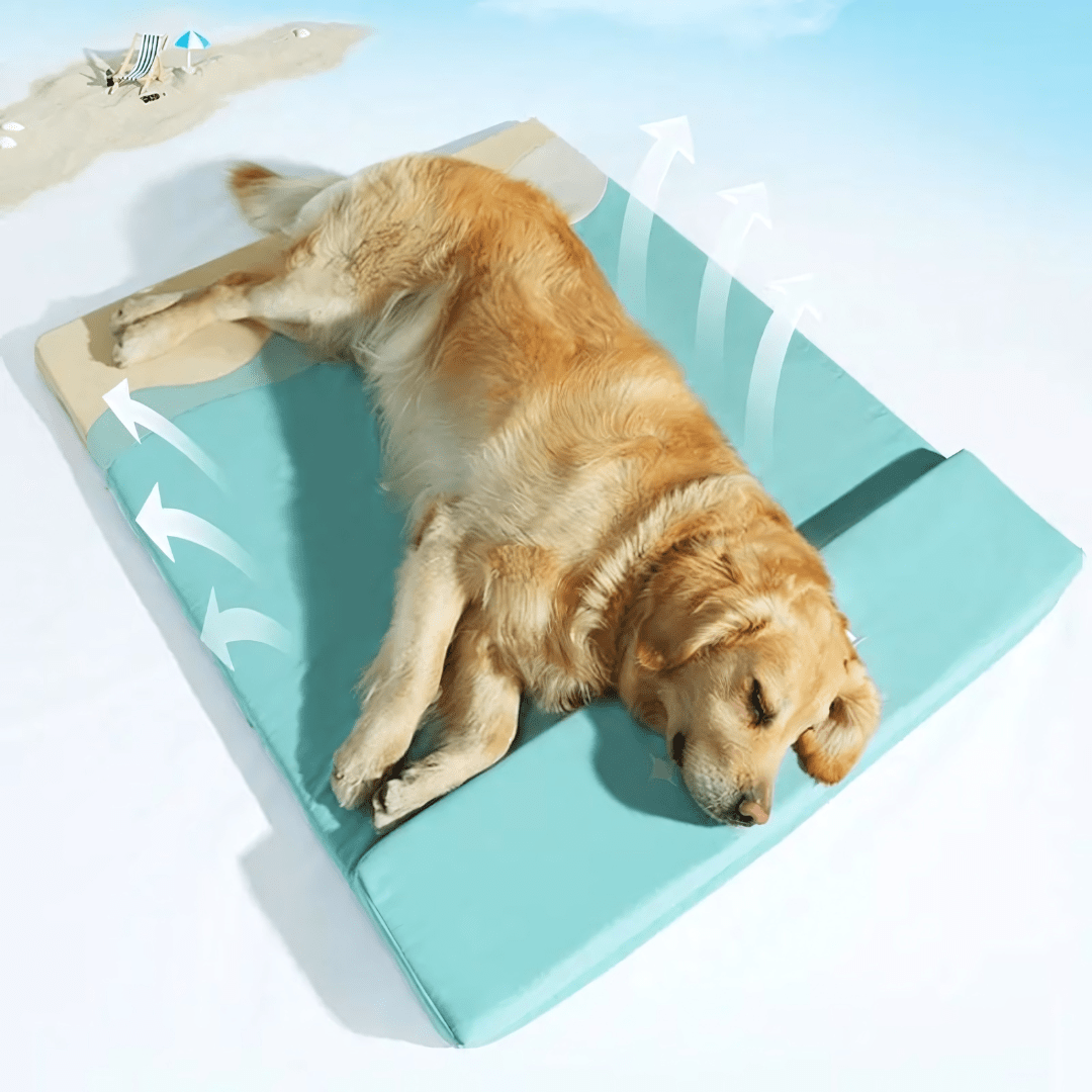 Large Cool Foam Pet Bed For Summer , Washable And Luxurious