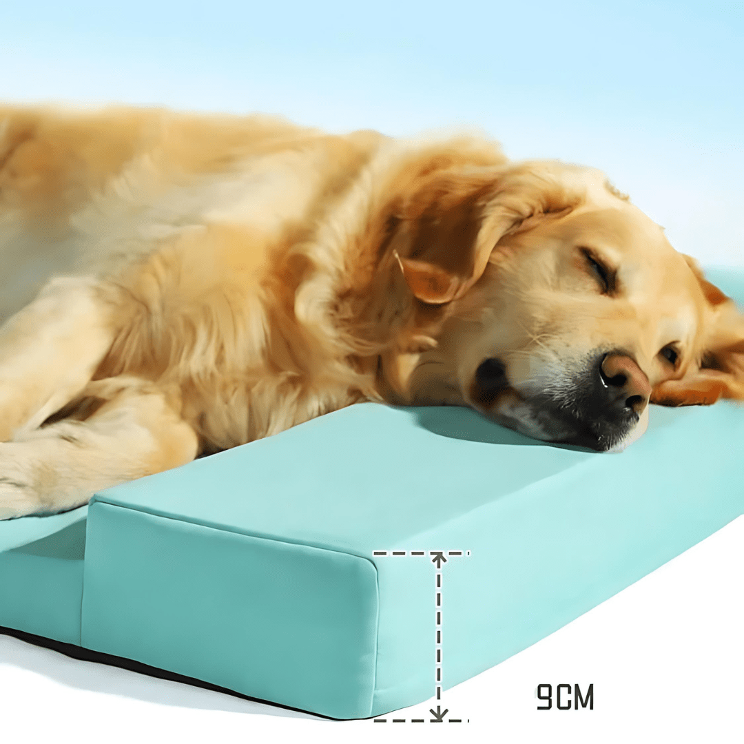 Large Cool Foam Pet Bed For Summer , Washable And Luxurious