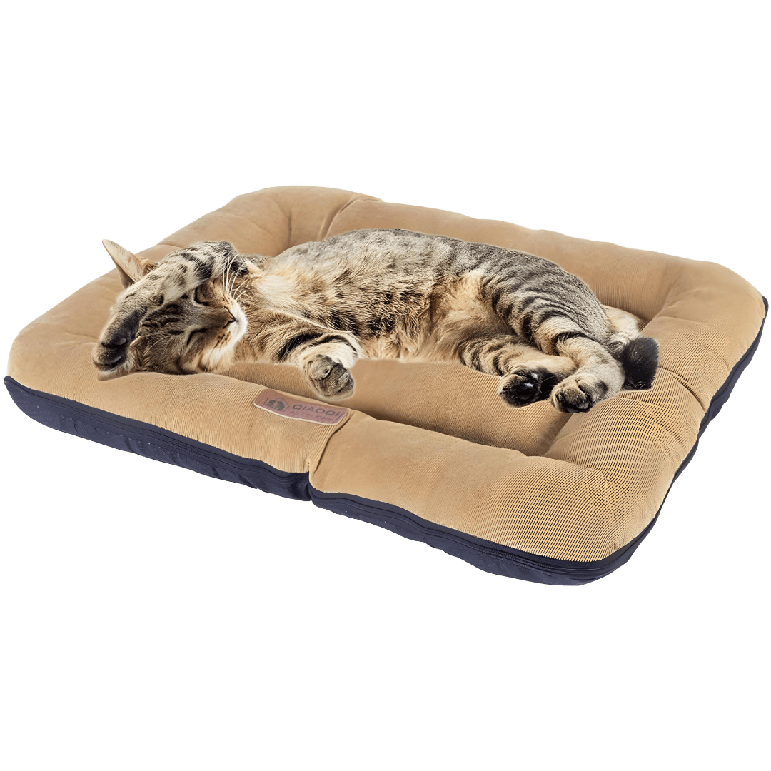 Memory foam dog bed with removable washable cover – pet mattress Lebanon