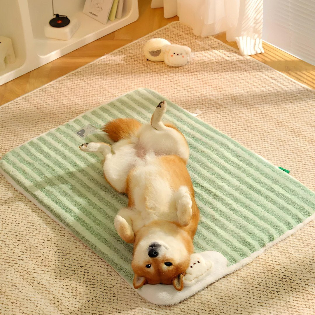 Afneembare en wasbare pluchen katten- en hondenmat van konijnen