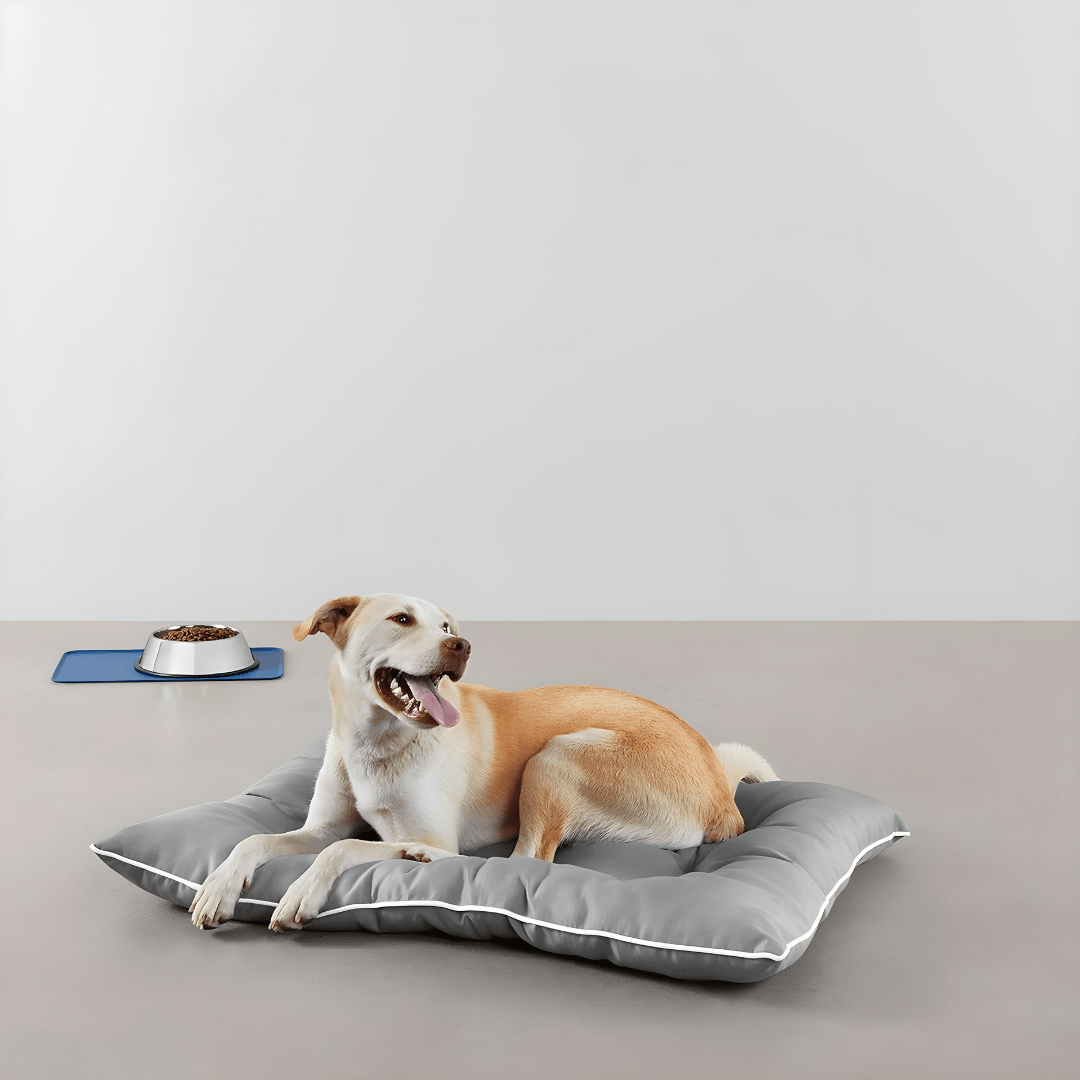 Large Amazon Basics water-repellent pet pillow bed with dog resting