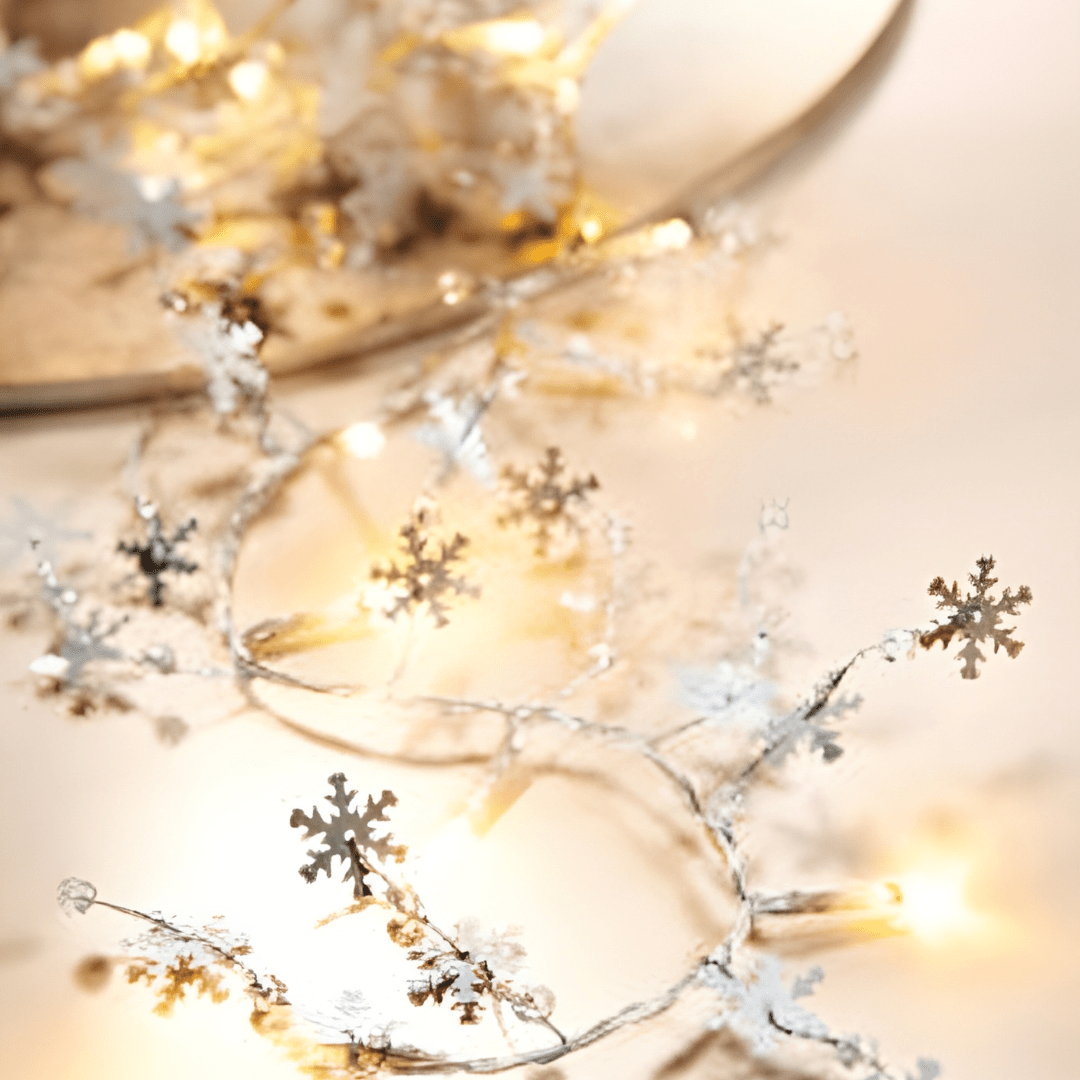 Livarno Home 20 LED String Lights
