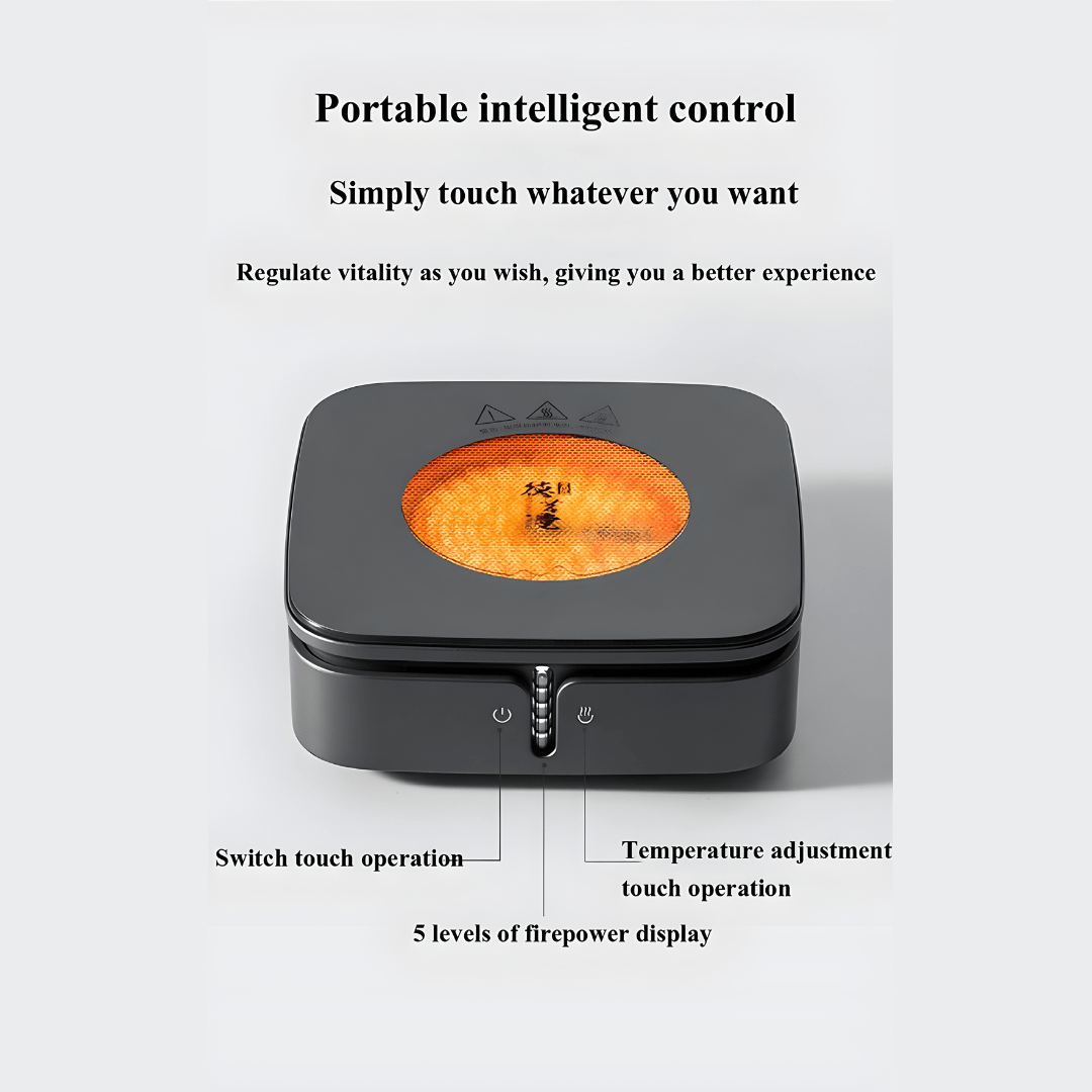Premium Glass Tea Kettle with Intelligent Heating 1000w