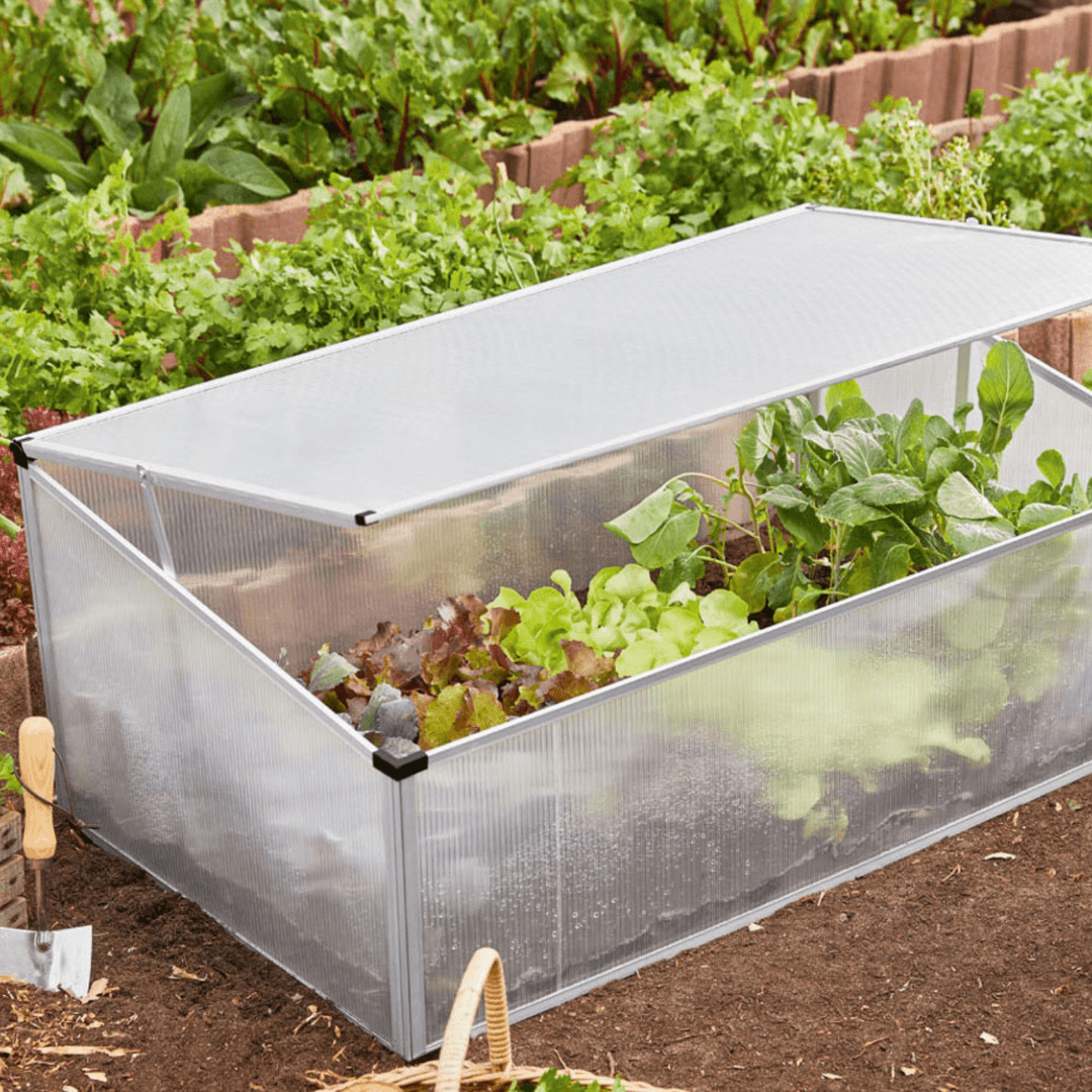 Mini greenhouse with aluminum frame and UV-resistant polycarbonate panels – Beirut Lebanon