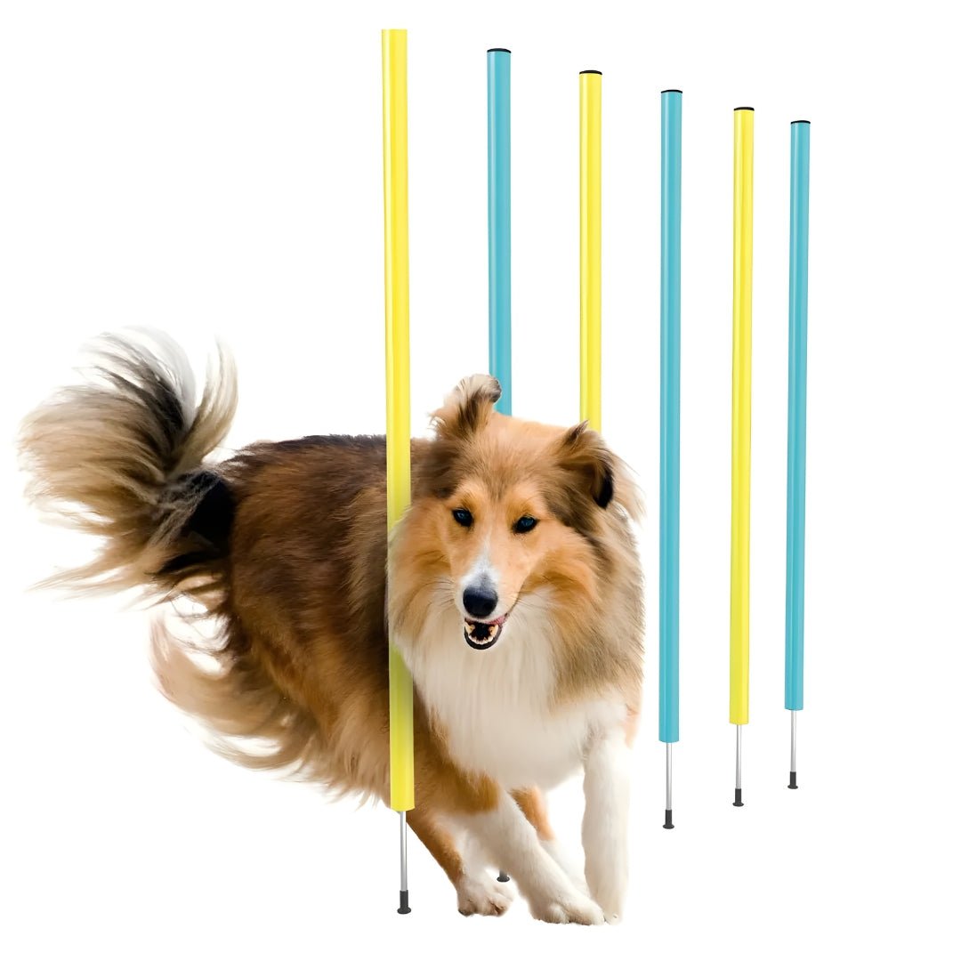 ZOOFARI DOG AGILITY SLALOM POLES: 6 PEGS - EUROPEAN HOUSE HOLD