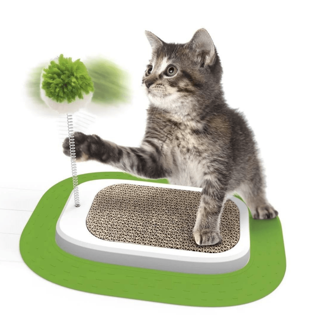 ZOOFARI® CAT CRAB ISLAND - EUROPEAN HOUSE HOLD