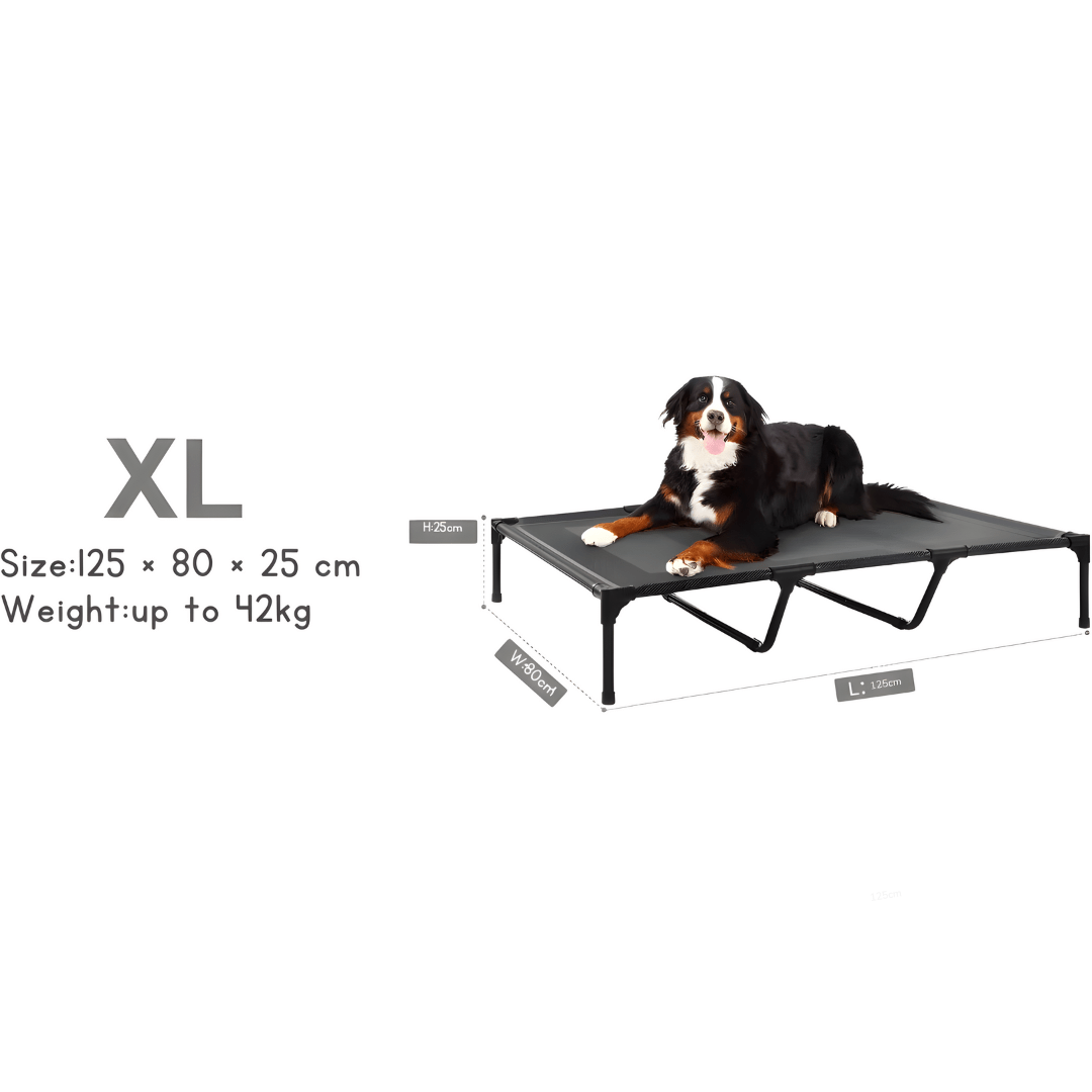XL elevated dog bed with Teslin mesh and stainless steel frame, size 125×80×25cm, breathable, anti-slip, easy to clean, for indoor and outdoor use.

