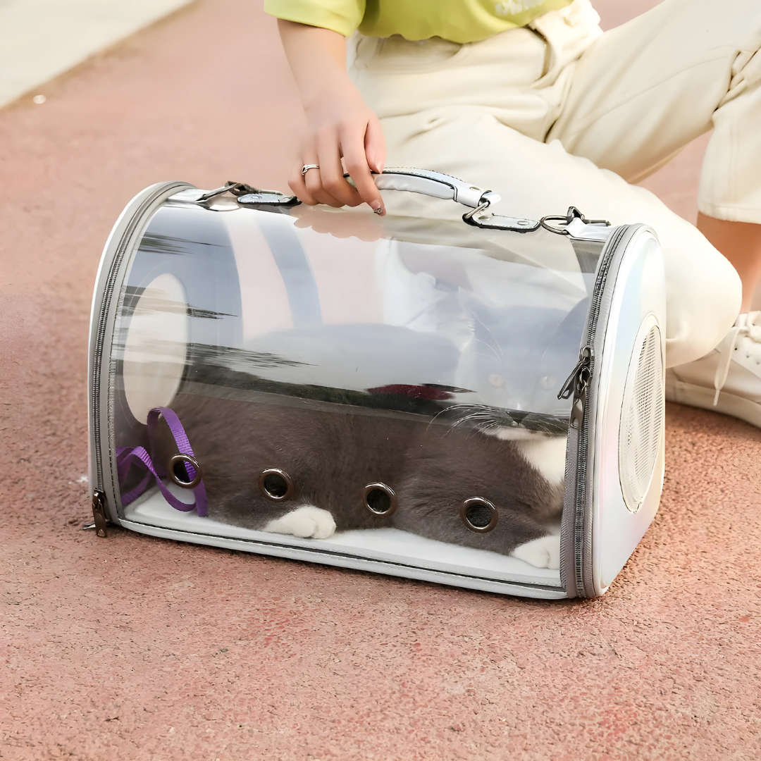 Transparent Multifunctional Pet Bag