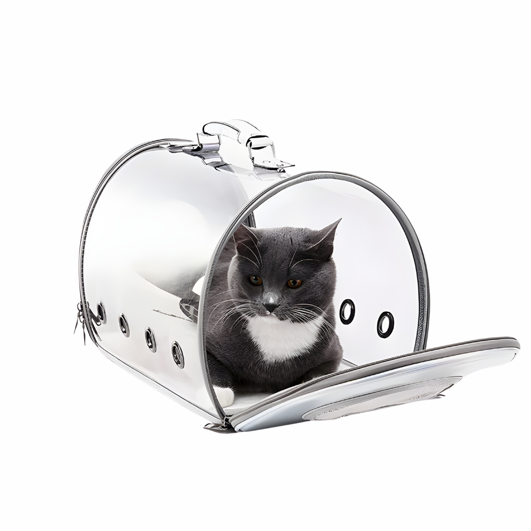 Transparent Multifunctional Pet Bag