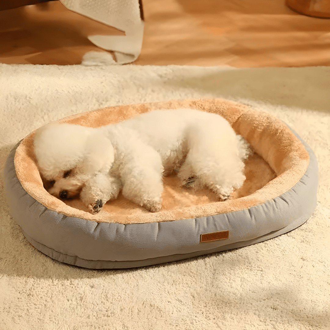Four Seasons Soft Oval Pet Bed | European Household | Lebanon