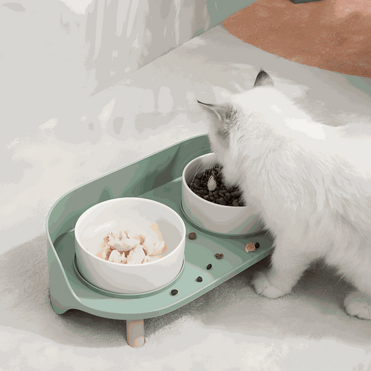 Anti-Spill Elevated Pet Bowl Feeder | European Household | Lebanon