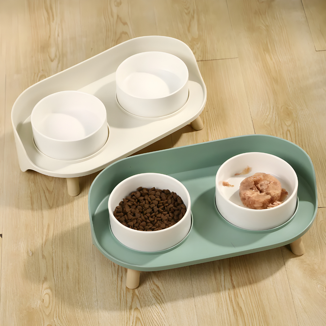 Anti-Spill Elevated Pet Bowl Feeder