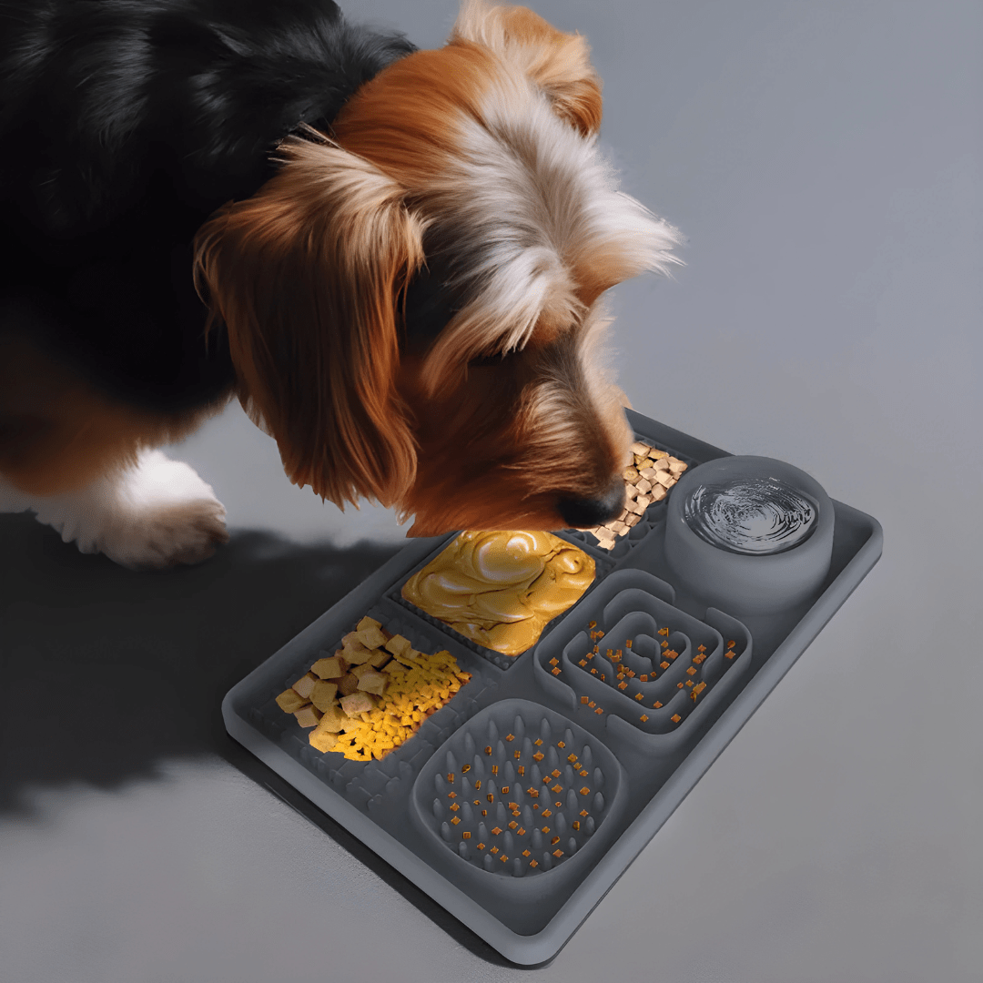 BPA-free silicone lick mat with water bowl for cats and dogs – Beirut Lebanon