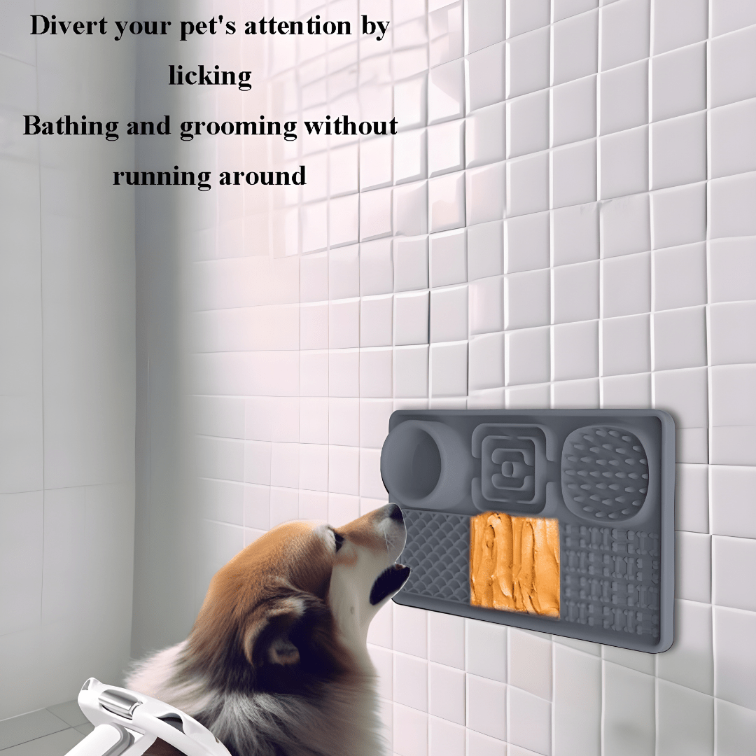 BPA-free silicone lick mat with water bowl for cats and dogs – Beirut Lebanon