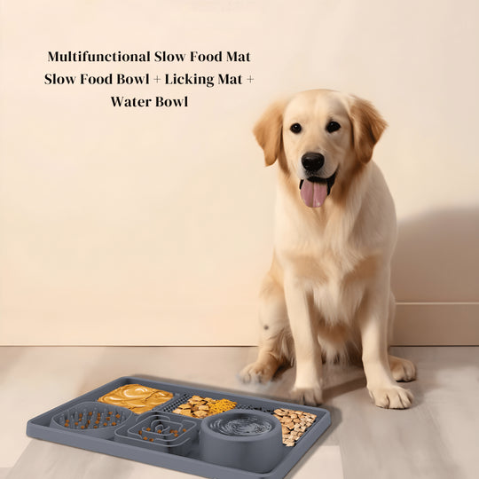 BPA-free silicone lick mat with water bowl for cats and dogs – Beirut Lebanon