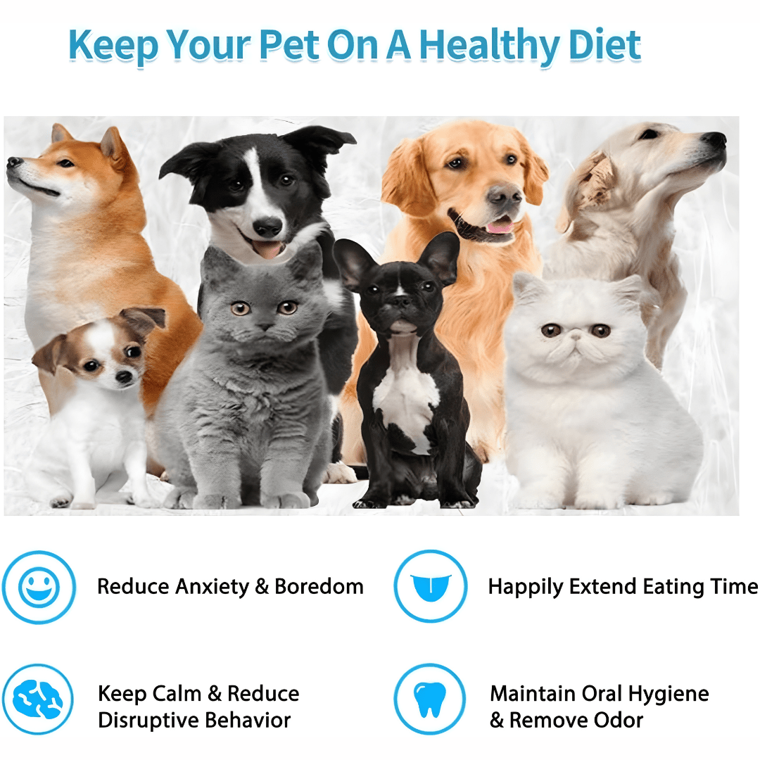 BPA-free silicone lick mat with water bowl for cats and dogs – Beirut Lebanon