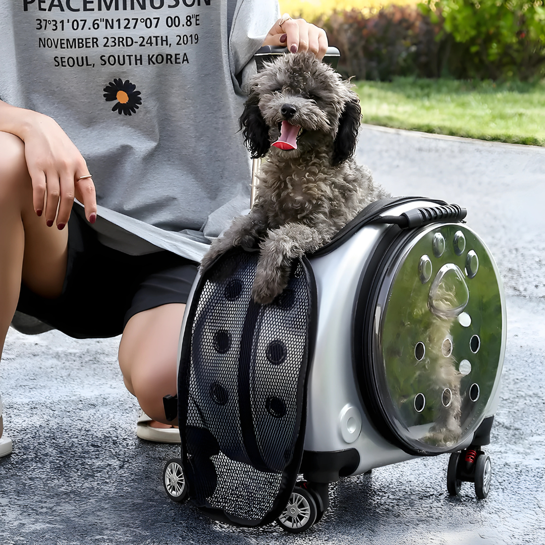 Lightweight Premium Multi-Functional Pet Trolley Case