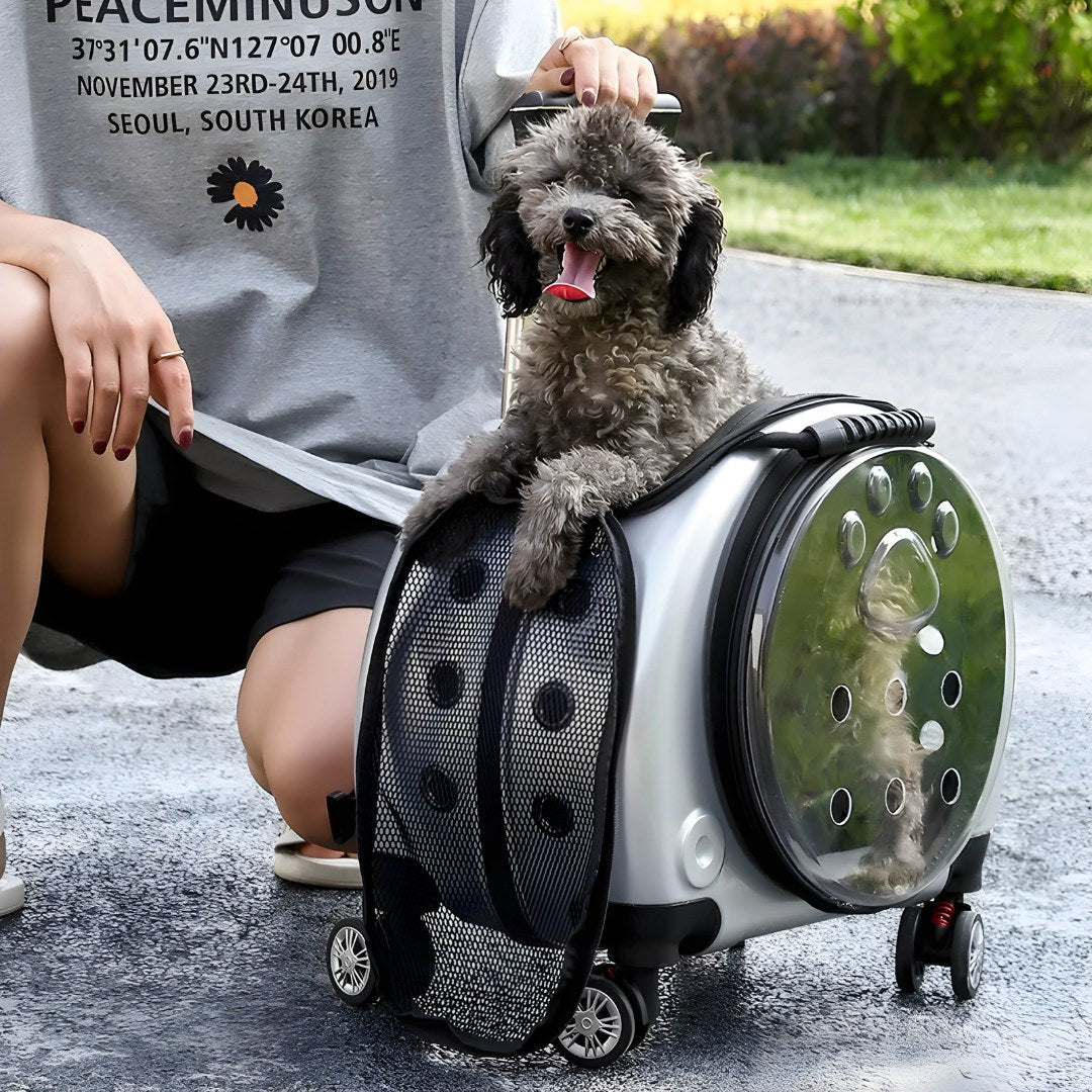 Portable Pet Carrier & Mat Bundle