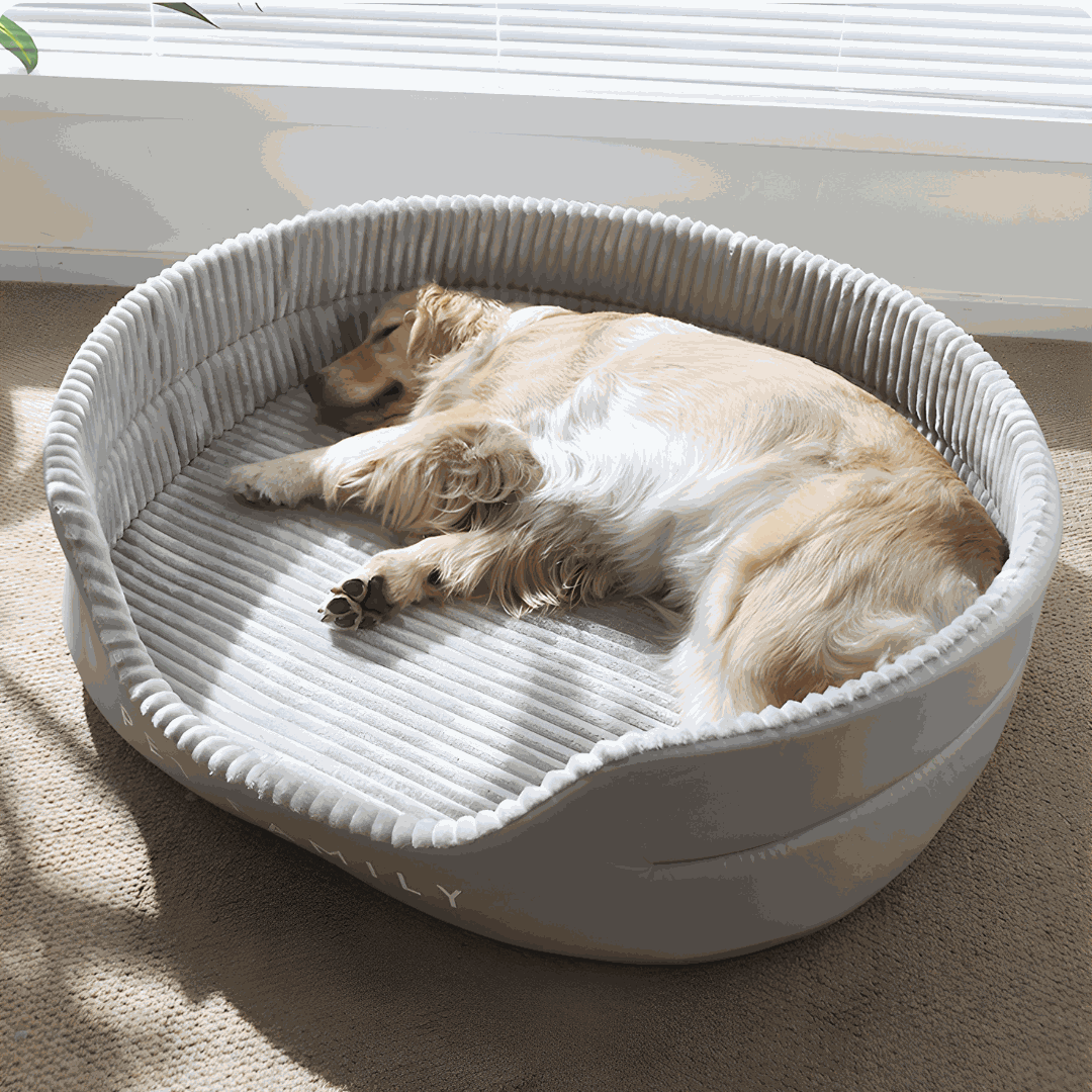 Four Seasons Universal Plush Pet Bed | European Household | Lebanon
