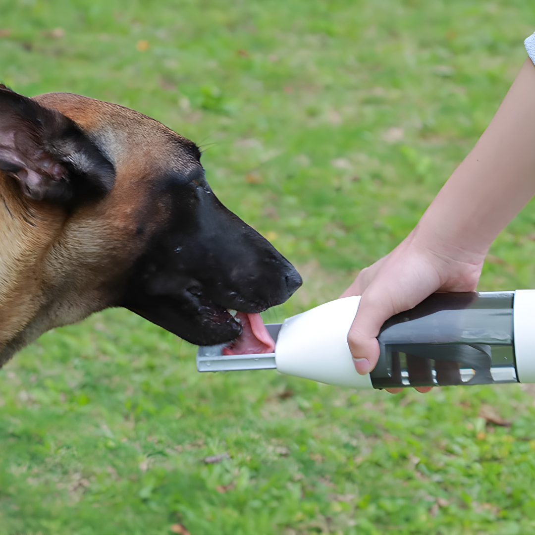 Leak-Proof Portable Water And Grain Dog Travel Dispenser