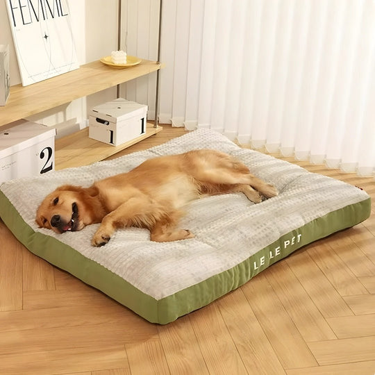 All-Season Comfortable Custom Pet Bed – European Household - Lebanon