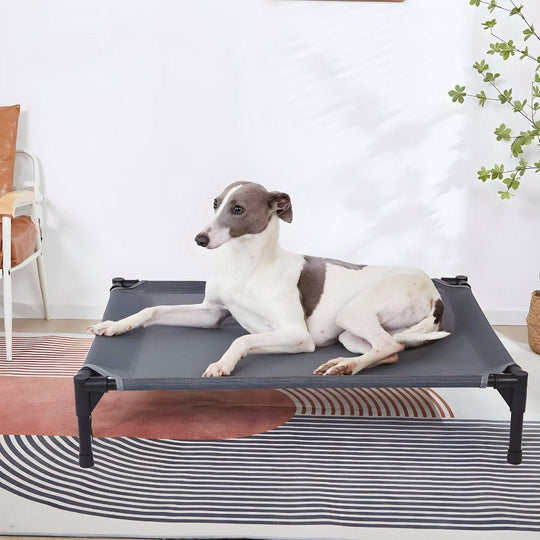 Durable Elevated Dog Bed with Metal Frame –European Household -Lebanon