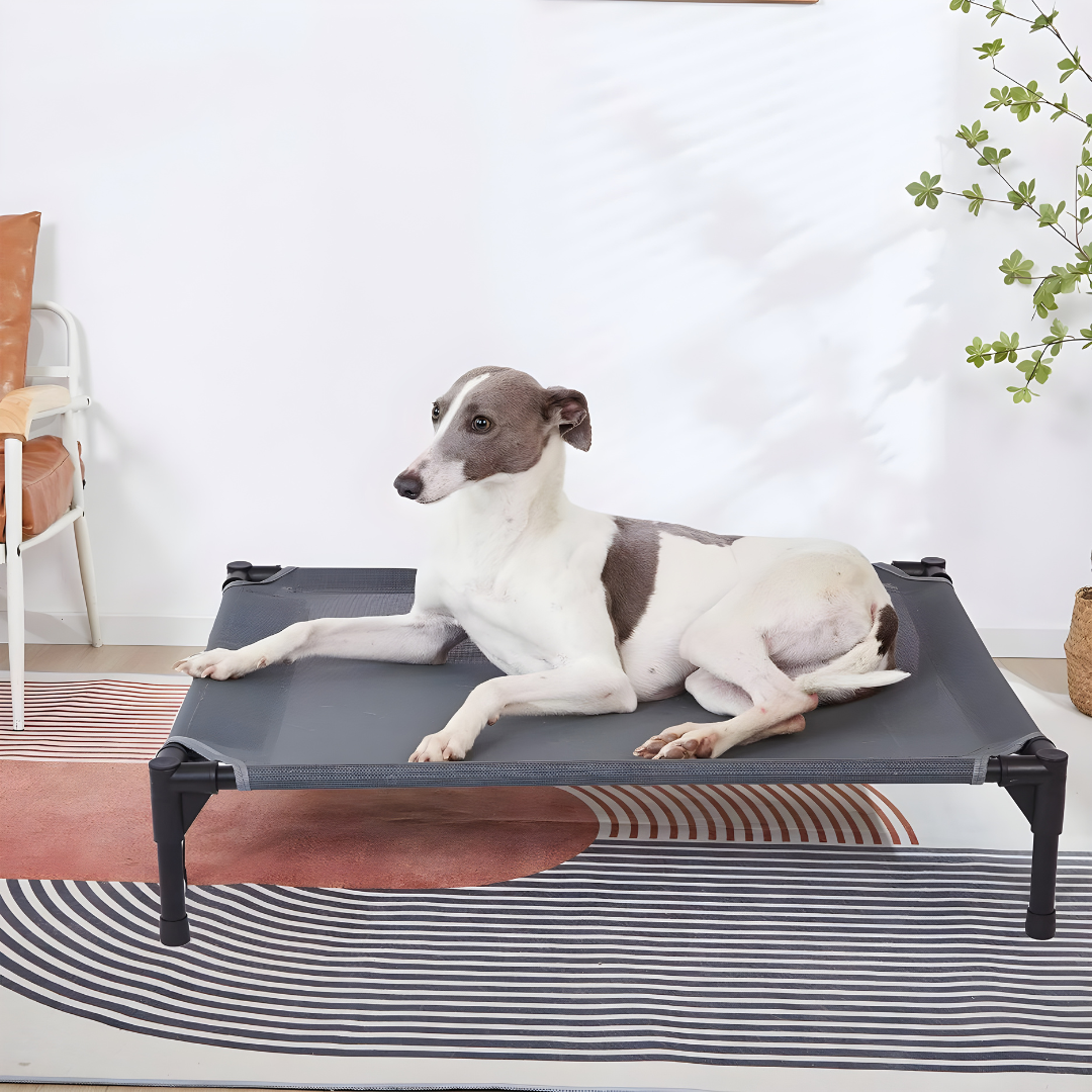 Durable Elevated Dog Bed with Metal Frame