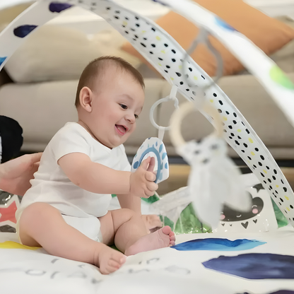 2-in-1 Soft Baby Gym Mat , Plush Newborn Playmat