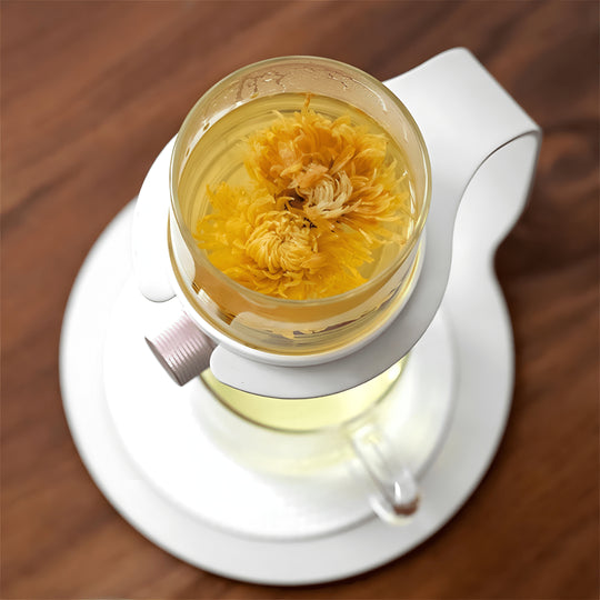 Super Premium Semi-Automatic Tea & Coffee Server – Dual Purpose Brewer (400ml)