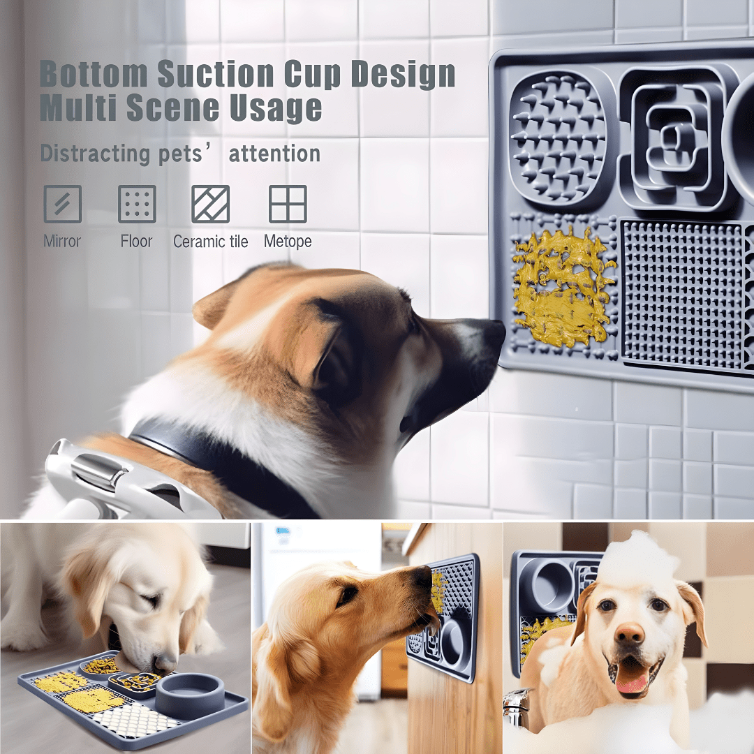 BPA-free silicone lick mat with water bowl for cats and dogs – Beirut Lebanon