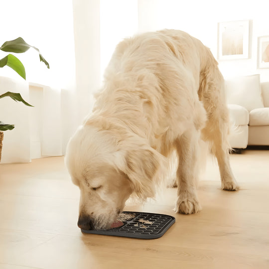 Dog licking mat with suction cups dishwasher safe – European House Hold Beirut