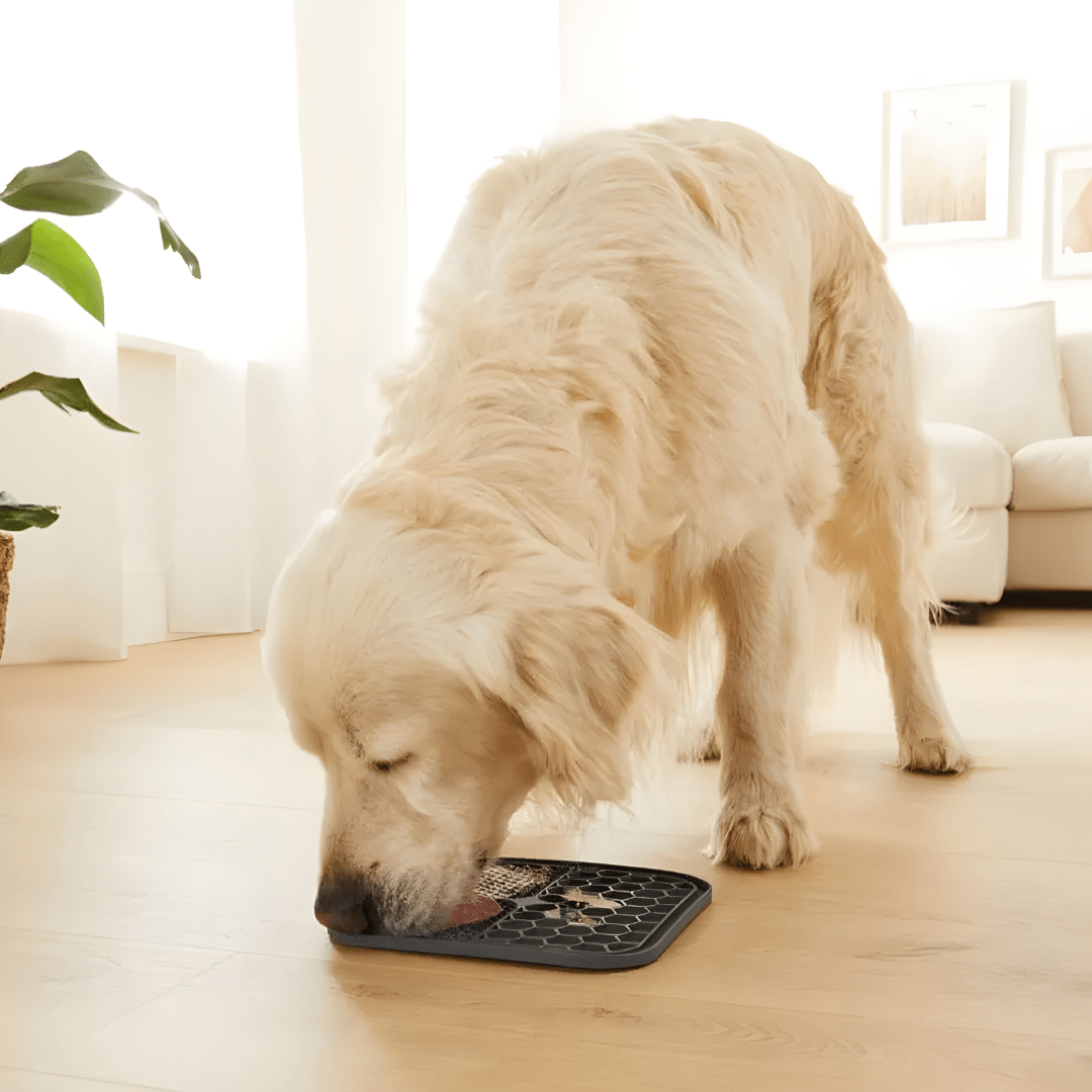 Dog licking mat with suction cups dishwasher safe – European House Hold Beirut