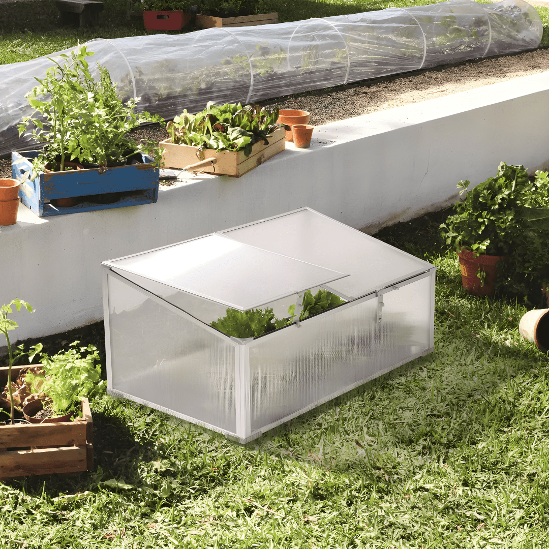 Mini greenhouse with aluminum frame and UV-resistant polycarbonate panels – Beirut Lebanon