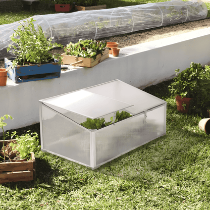 Mini greenhouse with aluminum frame and UV-resistant polycarbonate panels – Beirut Lebanon
