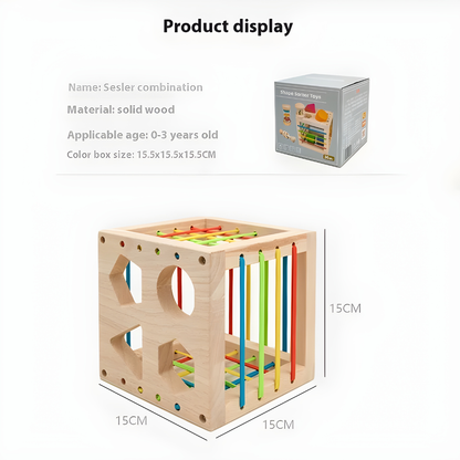 Montessori Wooden Shape & Color Learning Cube Toy