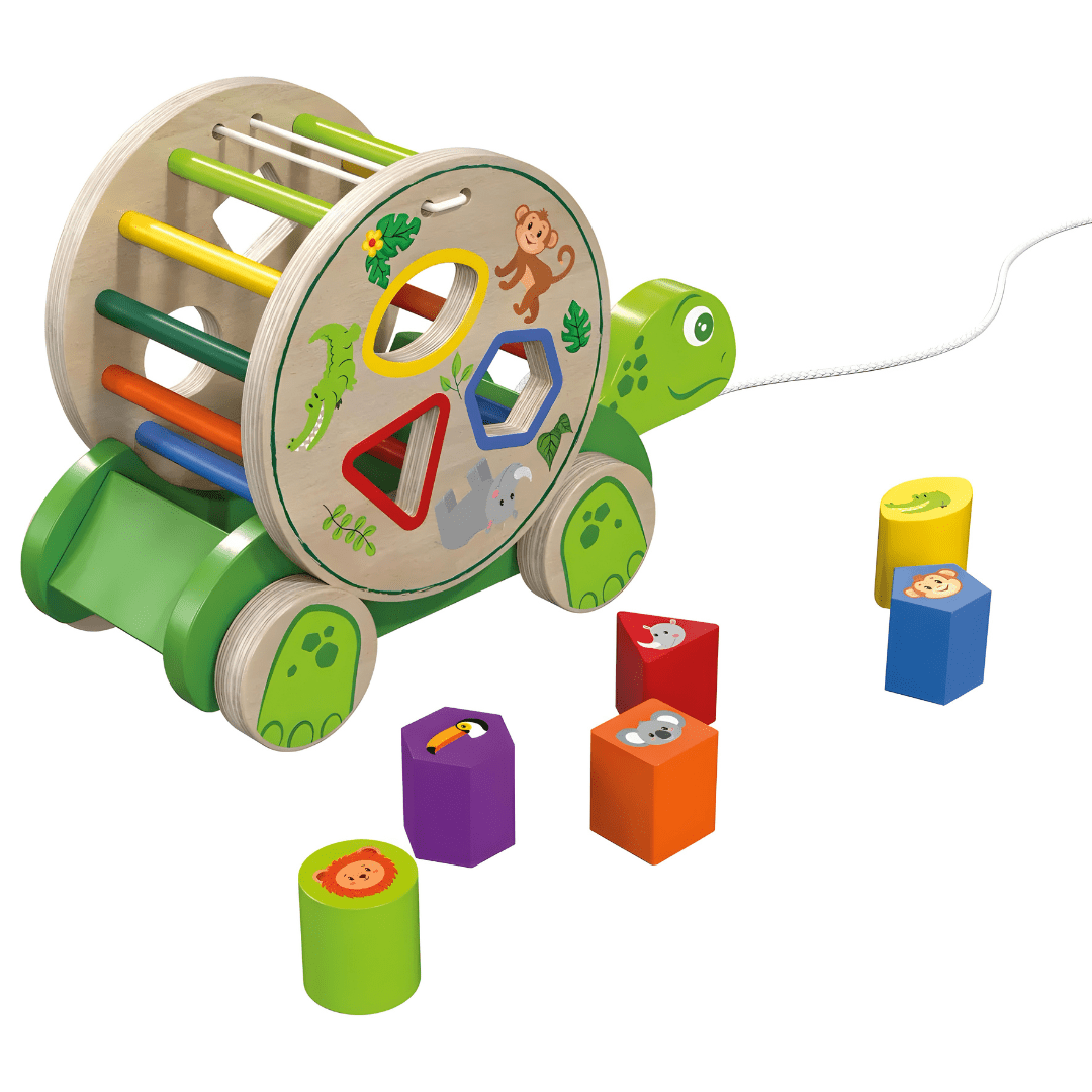 Pull along tortoise on sale