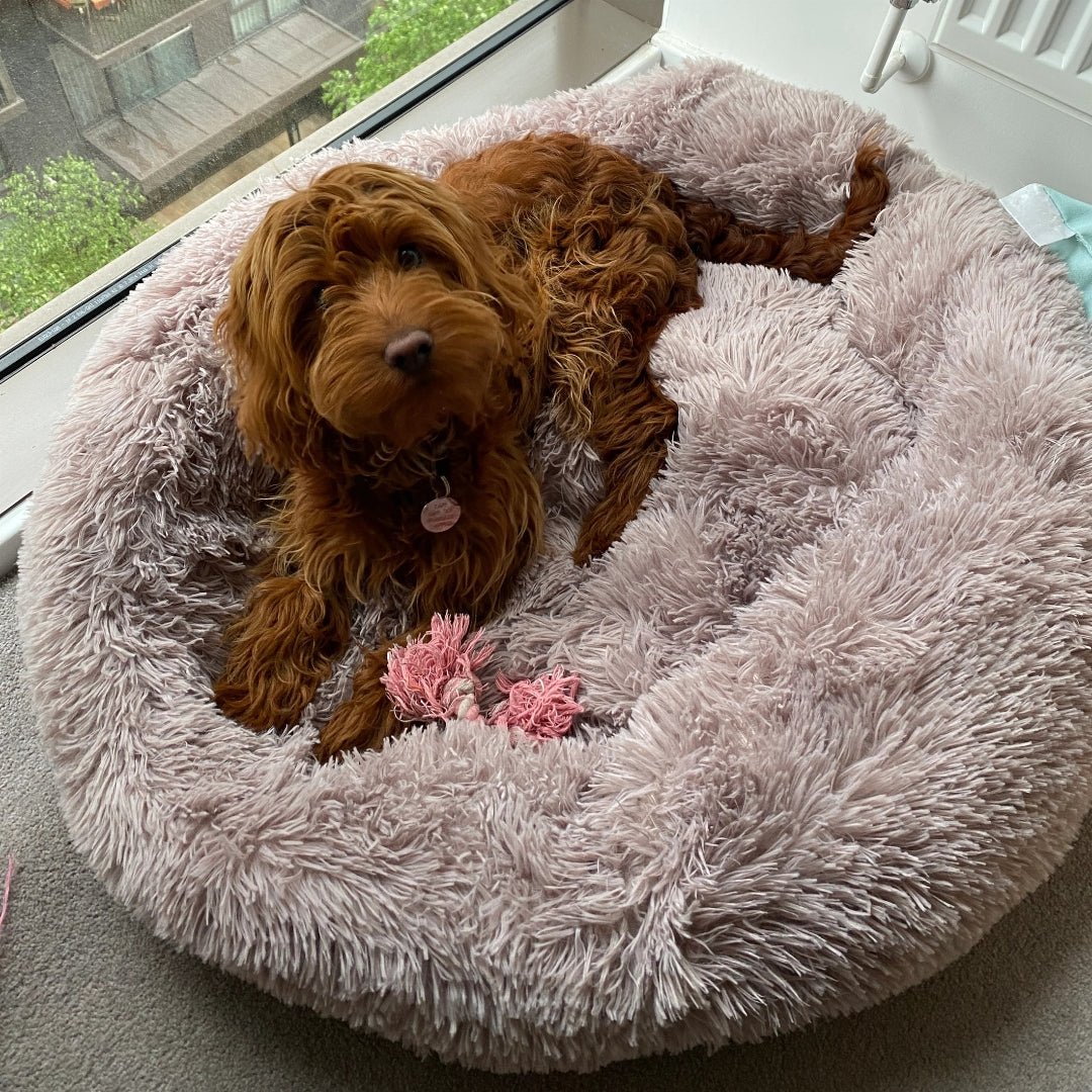 Round Anti-Slip Pet Bed – Soft & Breathable (70 cm)