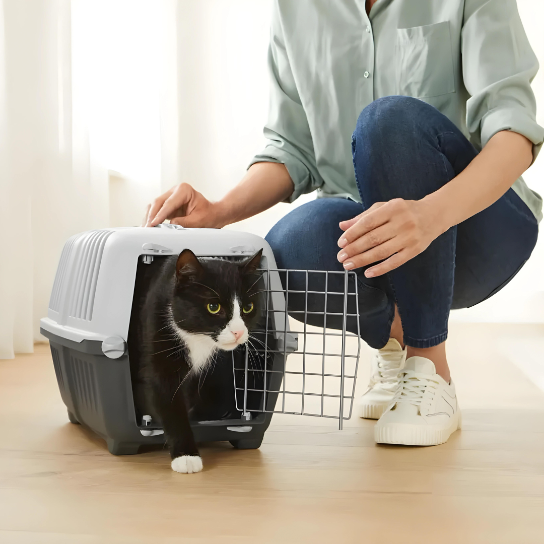 ZOOFARI® Cat Litter Box Or Carrier