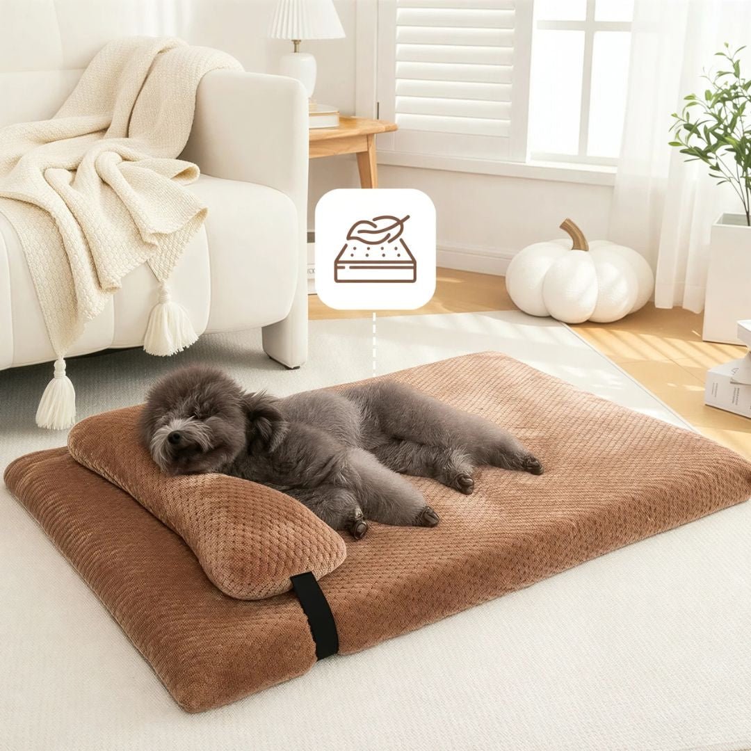 Orthopedic Memory Foam Pet Bed with Pillow (Waterproof & Washable)