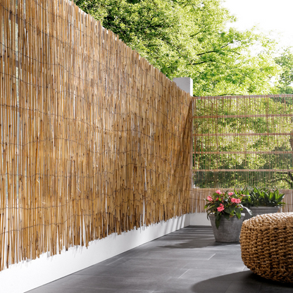 LIVARNO Home Reed Privacy Screen, 100 x 600 cm