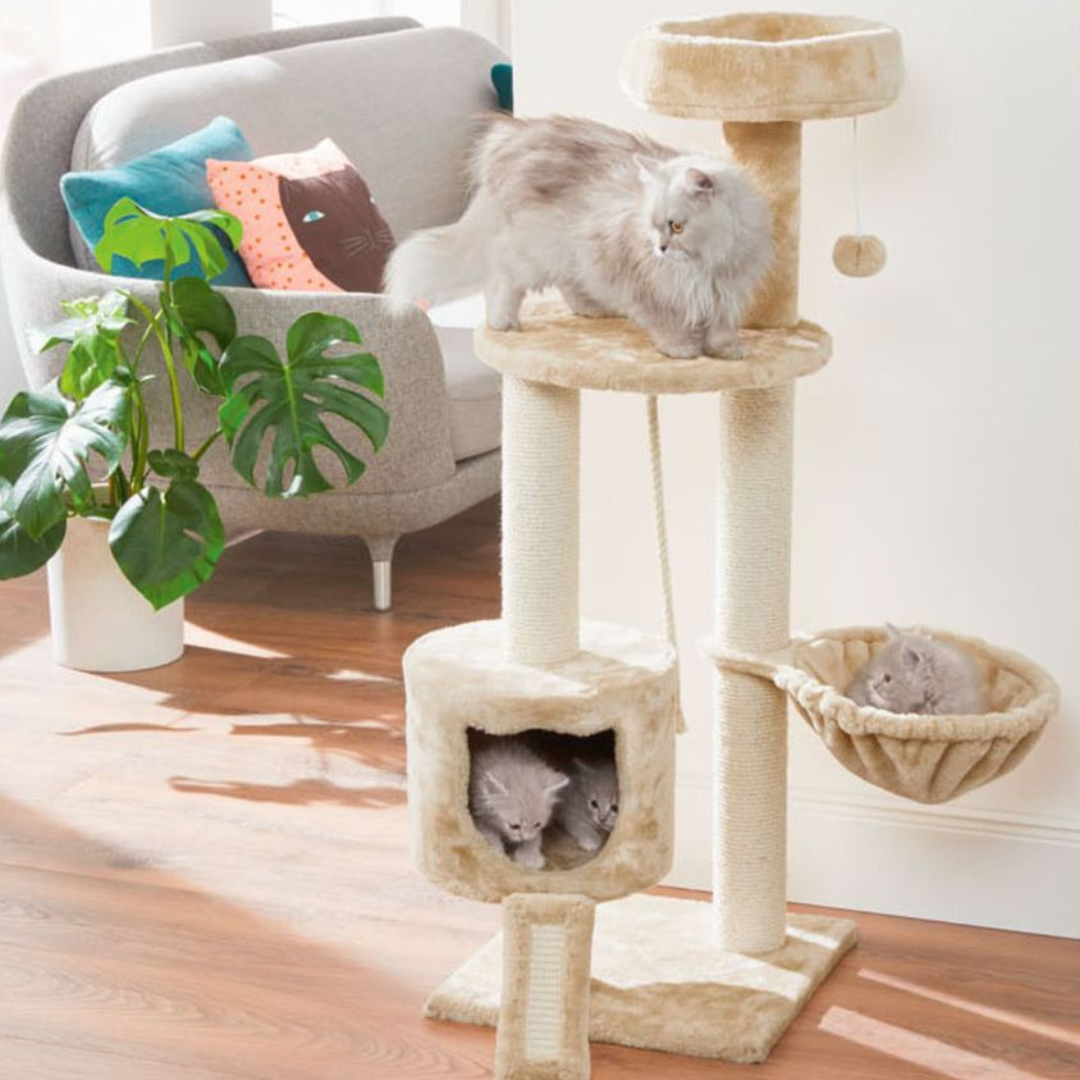 Zoofari Cat Activity Tower