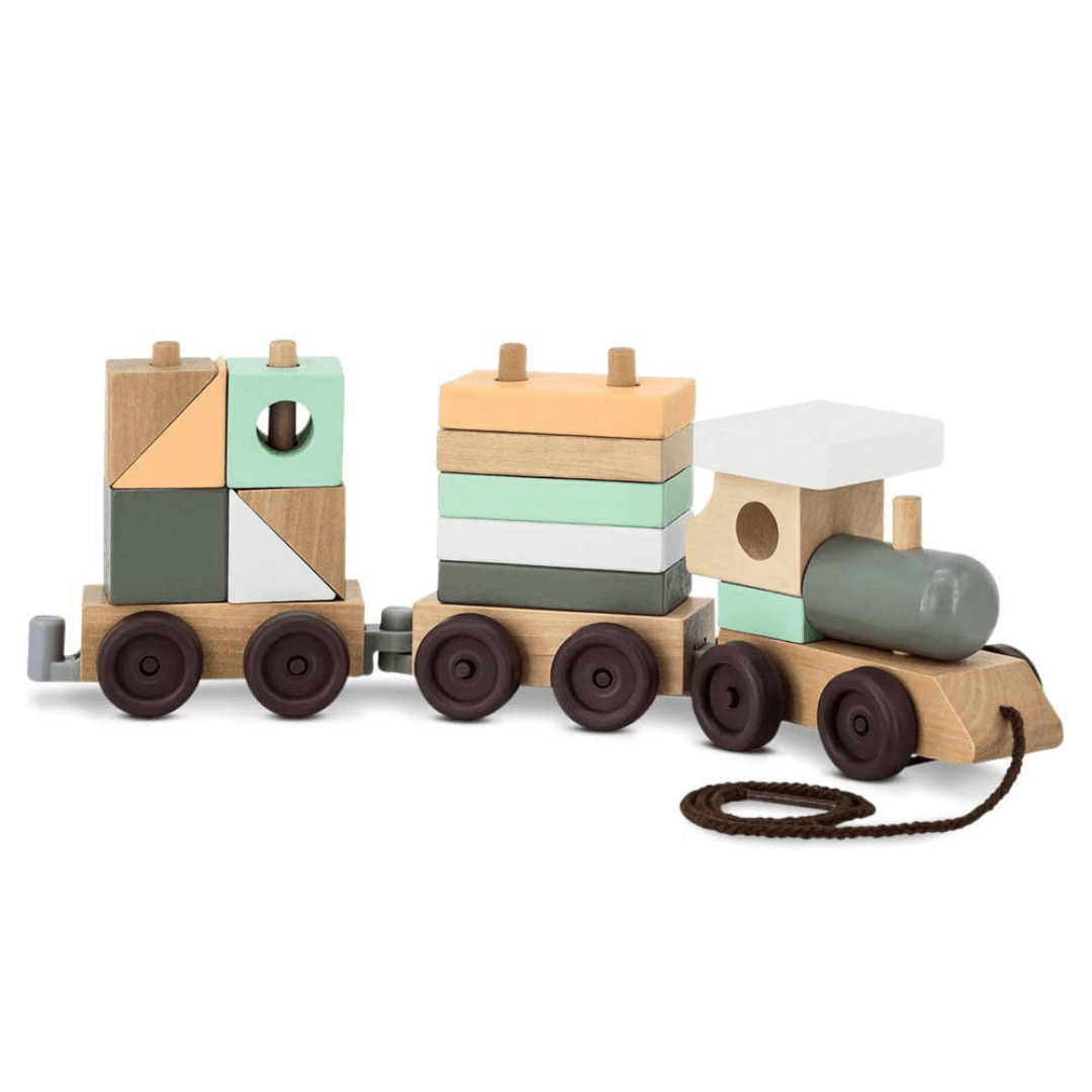 Wooden Block Train 18 Pieces – EUROPEAN HOUSE HOLD