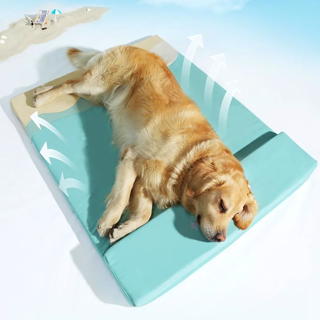 Large Cool Foam Pet Bed For Summer ,  Washable And Luxurious