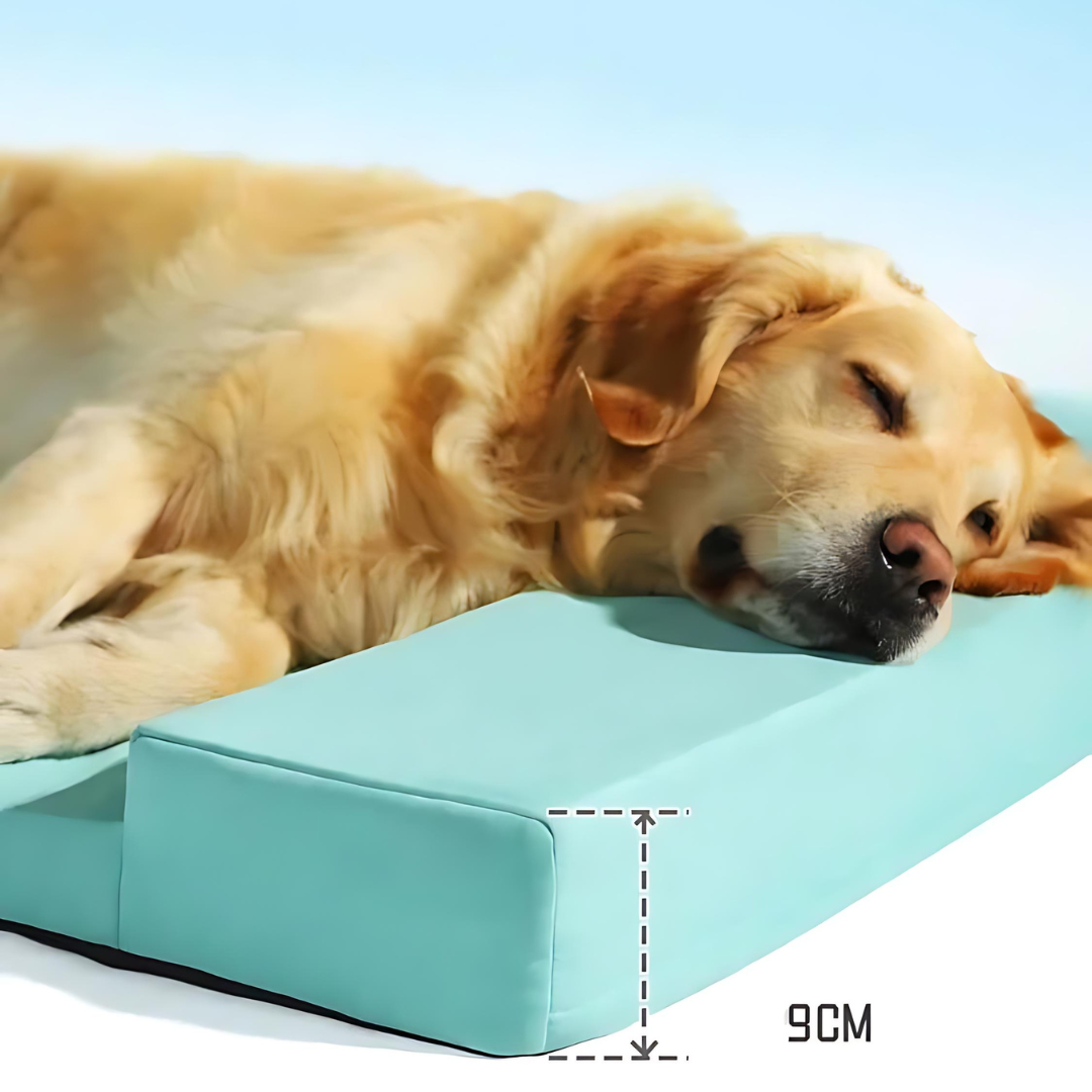 Large Cool Foam Pet Bed For Summer ,  Washable And Luxurious